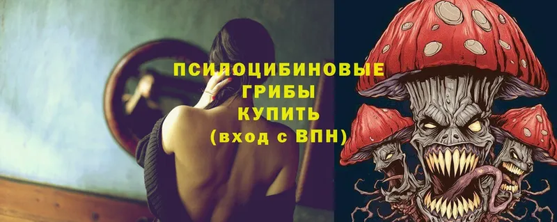 блэк спрут онион  Бугульма  Галлюциногенные грибы MAGIC MUSHROOMS 